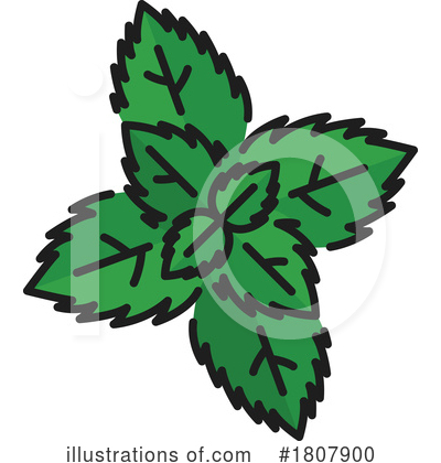 Mint Clipart #1807900 by Vector Tradition SM