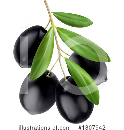 Olive Clipart #1807942 by Vector Tradition SM