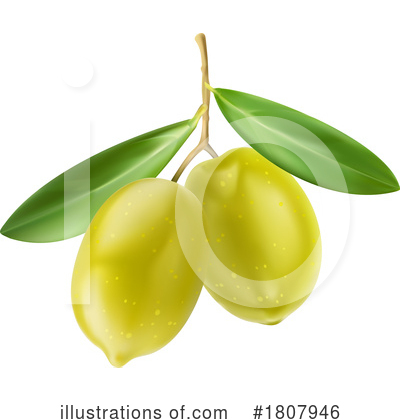 Green Olives Clipart #1807946 by Vector Tradition SM