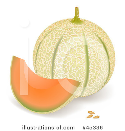 Cantaloupe Clipart #45336 by Oligo