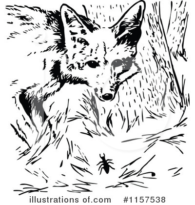 Royalty-Free (RF) Fox Clipart Illustration by Prawny Vintage - Stock Sample #1157538