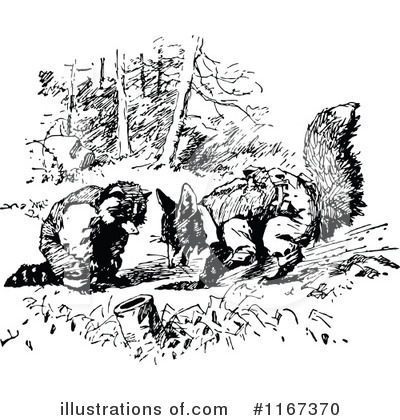 Raccoon Clipart #1167370 by Prawny Vintage