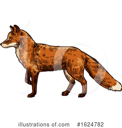 Fox Clipart #1624782 by Vector Tradition SM