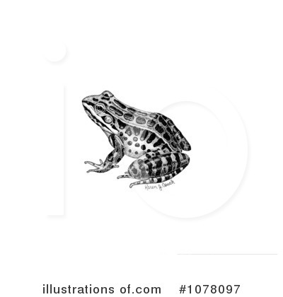 Frog Clipart #1078097 by JVPD