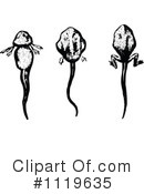 Frog Clipart #1119635 by Prawny Vintage