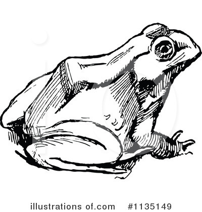 Frog Clipart #1135149 by Prawny Vintage