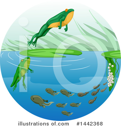 Royalty-Free (RF) Frog Clipart Illustration by BNP Design Studio - Stock Sample #1442368