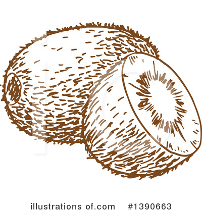 Kiwi Fruit Clipart #1390663 by Vector Tradition SM