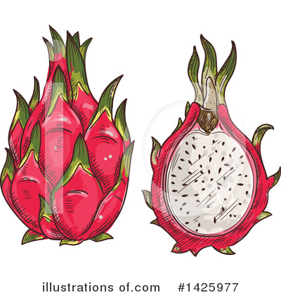 Dragon Fruit Clipart #1425977 by Vector Tradition SM