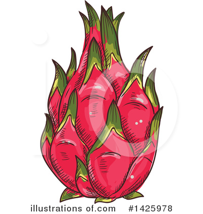 Dragon Fruit Clipart #1425978 by Vector Tradition SM