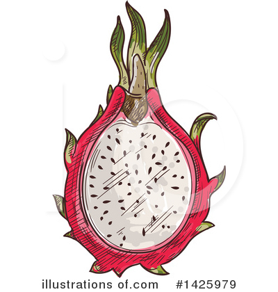 Dragon Fruit Clipart #1425979 by Vector Tradition SM