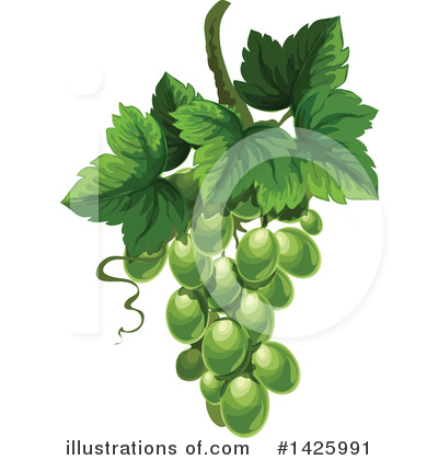 Royalty-Free (RF) Fruit Clipart Illustration by Vector Tradition SM - Stock Sample #1425991