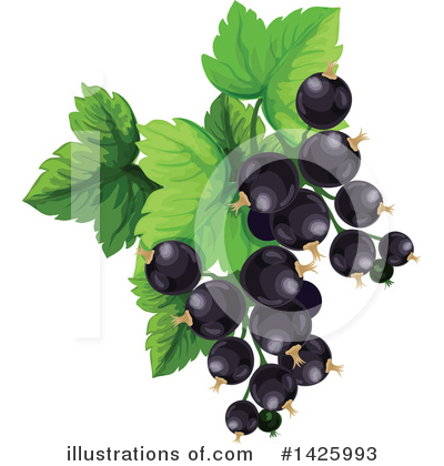 Black Currants Clipart #1425993 by Vector Tradition SM