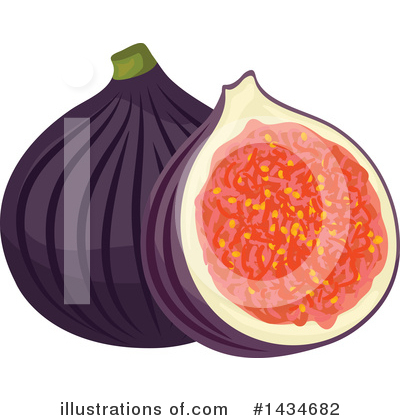 Fig Clipart #1434682 by Vector Tradition SM