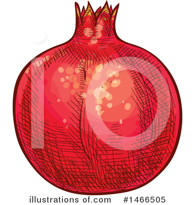 Pomegranate Clipart #1466505 by Vector Tradition SM