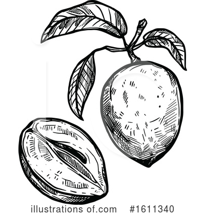 Royalty-Free (RF) Fruit Clipart Illustration by Vector Tradition SM - Stock Sample #1611340