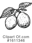 Fruit Clipart #1611346 by Vector Tradition SM