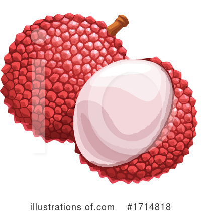 Lychee Clipart #1714818 by Vector Tradition SM