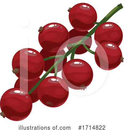 Currant Clipart #1714822 by Vector Tradition SM