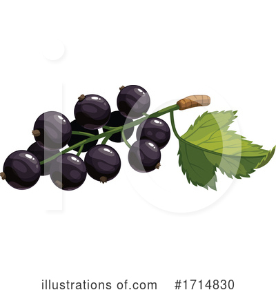 Black Currants Clipart #1714830 by Vector Tradition SM
