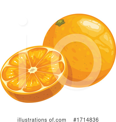 Oranges Clipart #1714836 by Vector Tradition SM