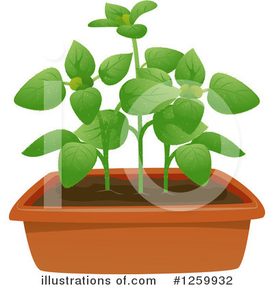 Potted Plant Clipart #1259932 by BNP Design Studio