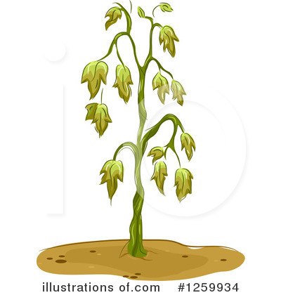 Royalty-Free (RF) Garden Clipart Illustration by BNP Design Studio - Stock Sample #1259934