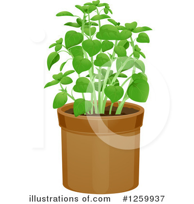 Potted Plant Clipart #1259937 by BNP Design Studio