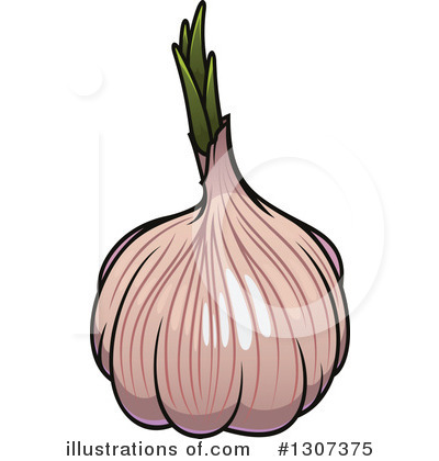 Royalty-Free (RF) Garlic Clipart Illustration by Vector Tradition SM - Stock Sample #1307375