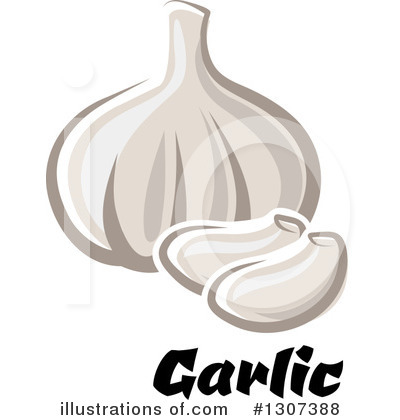 Royalty-Free (RF) Garlic Clipart Illustration by Vector Tradition SM - Stock Sample #1307388