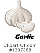 Garlic Clipart #1307388 by Vector Tradition SM