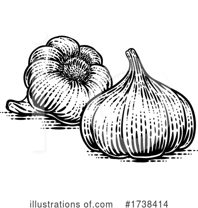 Royalty-Free (RF) Garlic Clipart Illustration by AtStockIllustration - Stock Sample #1738414