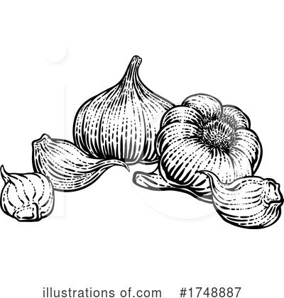 Royalty-Free (RF) Garlic Clipart Illustration by AtStockIllustration - Stock Sample #1748887