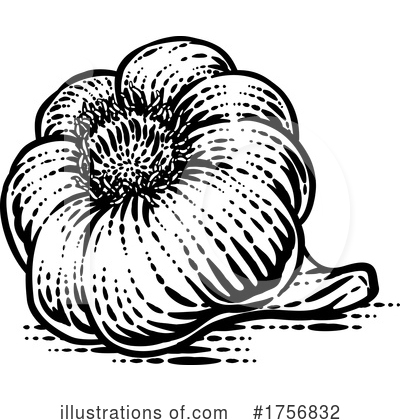 Royalty-Free (RF) Garlic Clipart Illustration by AtStockIllustration - Stock Sample #1756832