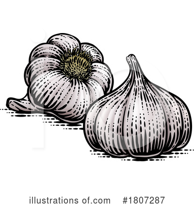 Garlic Clipart #1807287 by AtStockIllustration