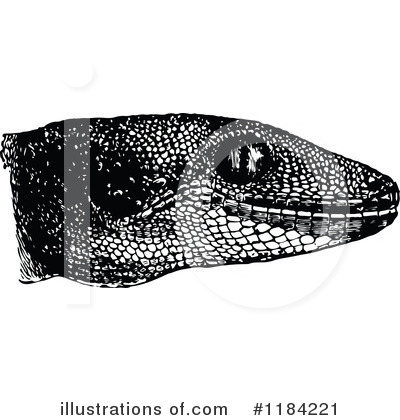 Royalty-Free (RF) Gecko Clipart Illustration by Prawny Vintage - Stock Sample #1184221