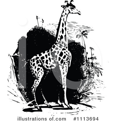 Royalty-Free (RF) Giraffe Clipart Illustration by Prawny Vintage - Stock Sample #1113694