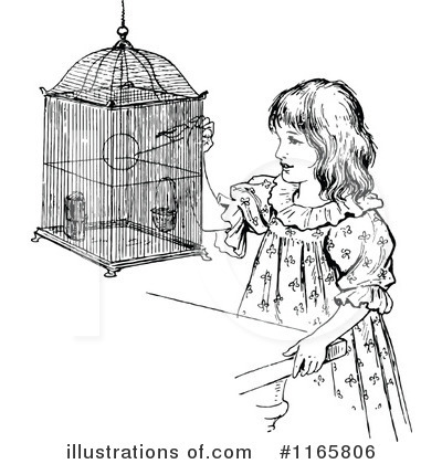 Pet Bird Clipart #1165806 by Prawny Vintage