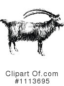 Goat Clipart #1113695 by Prawny Vintage