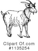 Goat Clipart #1135254 by Prawny Vintage