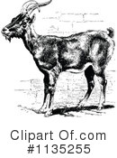 Goat Clipart #1135255 by Prawny Vintage