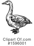 Goose Clipart #1596001 by Vector Tradition SM