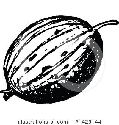 Gooseberry Clipart #1429144 by Prawny Vintage