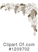 Grape Vine Clipart #1209702 by AtStockIllustration