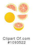 Grapefruit Clipart #1093522 by Randomway