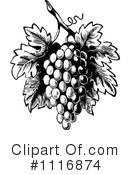 Grapes Clipart #1116874 by Prawny Vintage