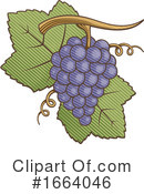 Grapes Clipart #1664046 by Any Vector