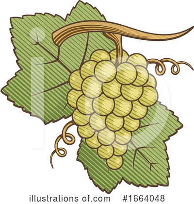 Grapes Clipart #1664048 by Any Vector