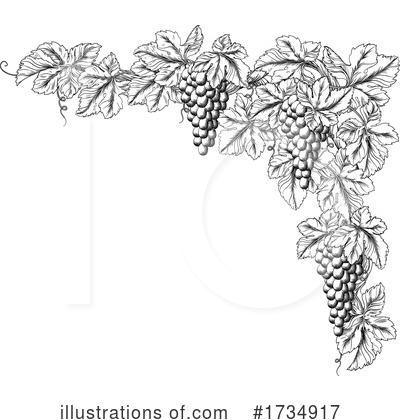 Grapes Clipart #1734917 by AtStockIllustration