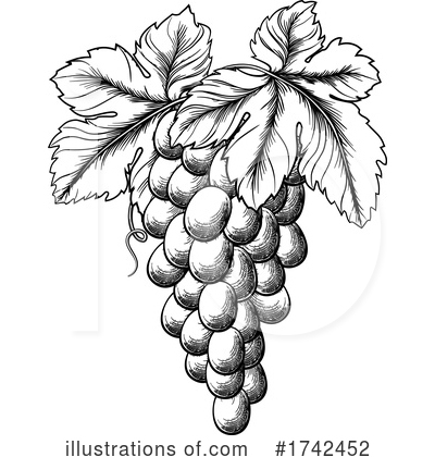 Grape Clipart #1742452 by AtStockIllustration